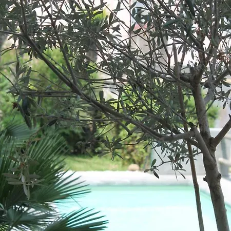 Guest house Clori *