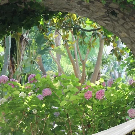 Clori Guest house