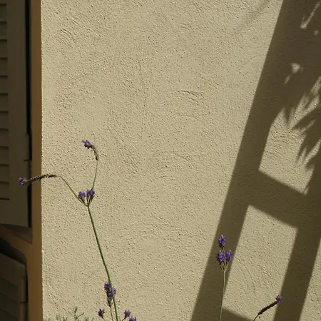 Clori *